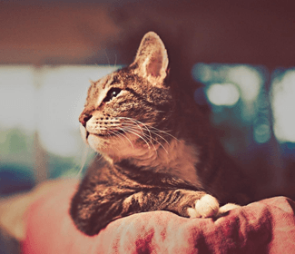 學(xué)習(xí)CAD！每天五個(gè)小技巧！這個(gè)系列趕快收藏！